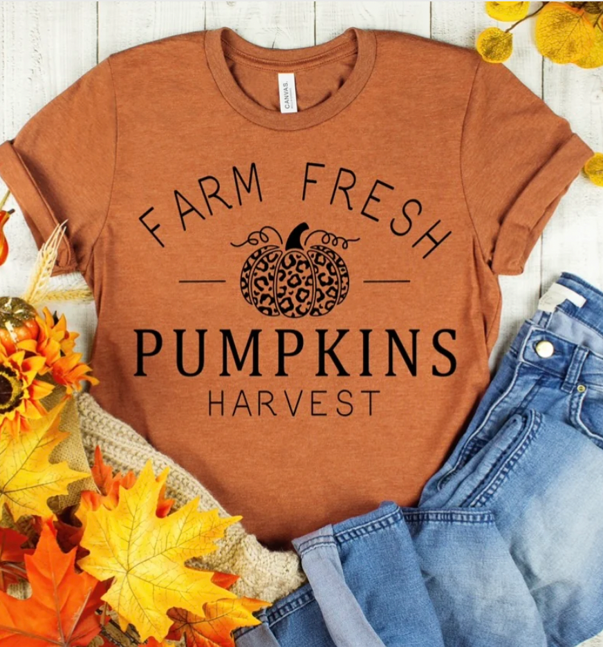 Farm Fresh Pumpkins Harvest